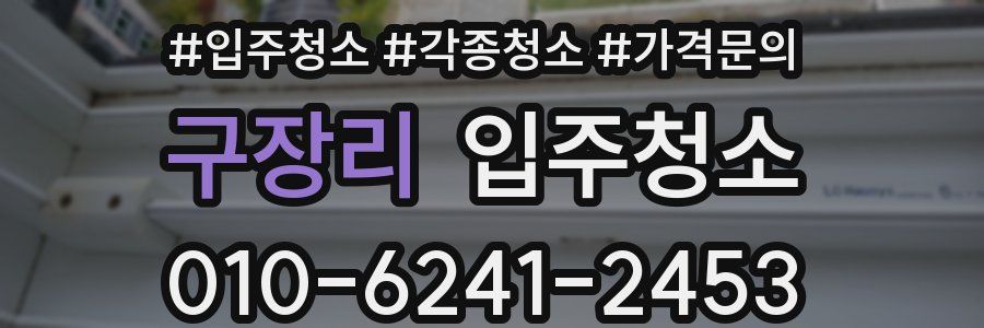 구장리 이사청소