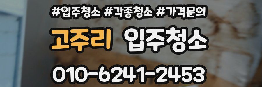고주리 이사청소