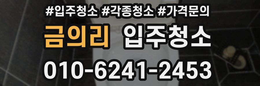 금의리 이사청소