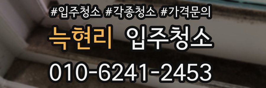 늑현리 이사청소