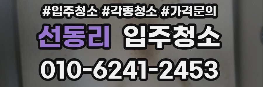 선동리 이사청소