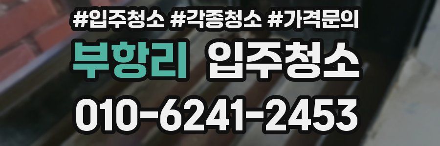 부항리 이사청소