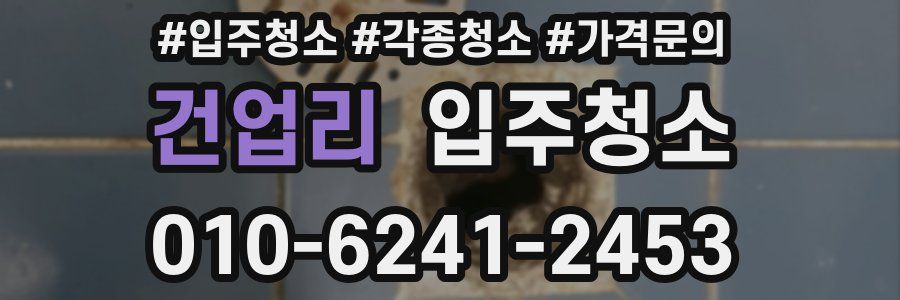 건업리 이사청소