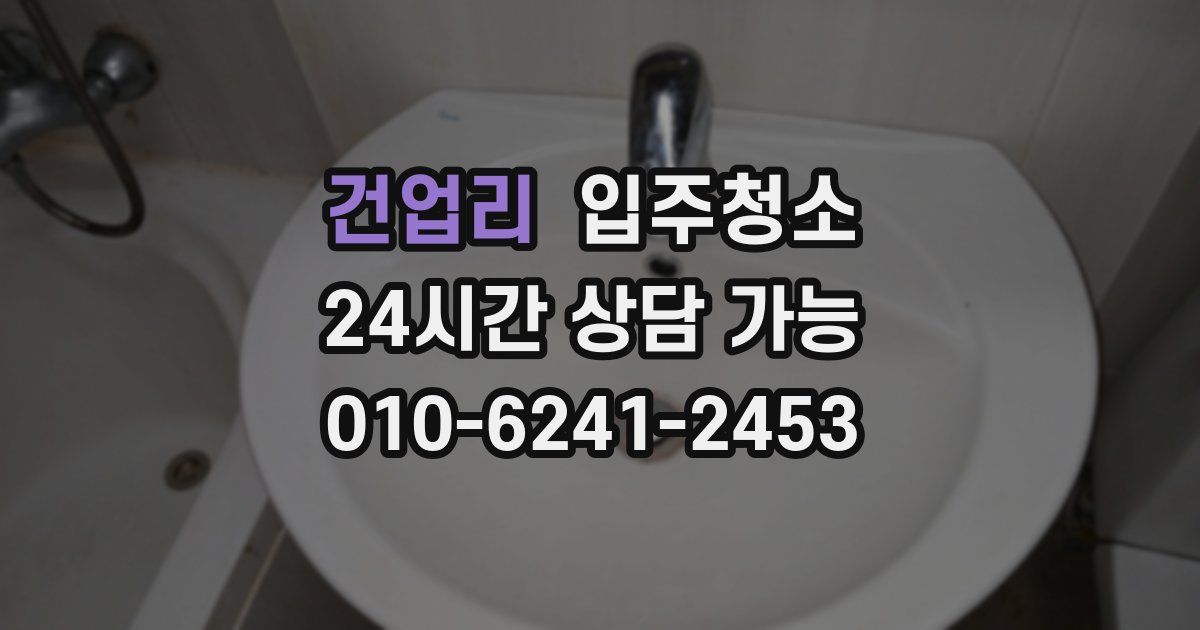 건업리 입주청소