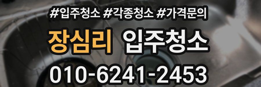 장심리 이사청소