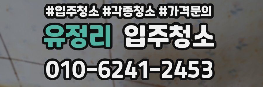 유정리 이사청소