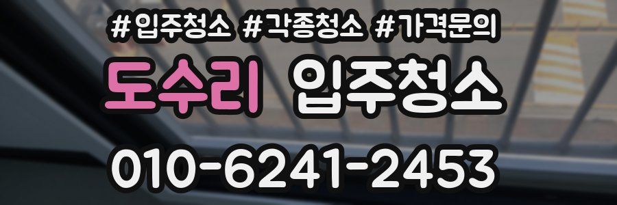 도수리 이사청소