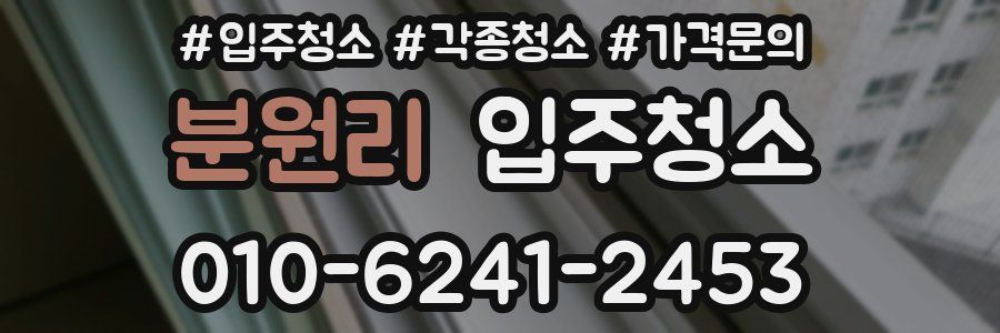 분원리 이사청소