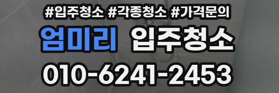 엄미리 이사청소