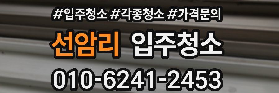 선암리 이사청소