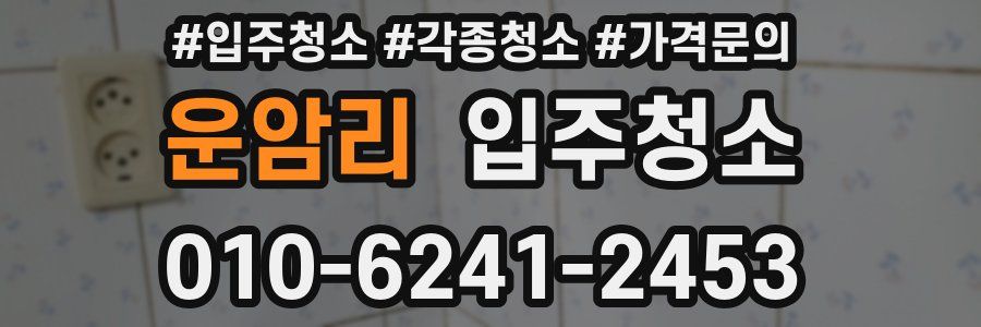 운암리 이사청소