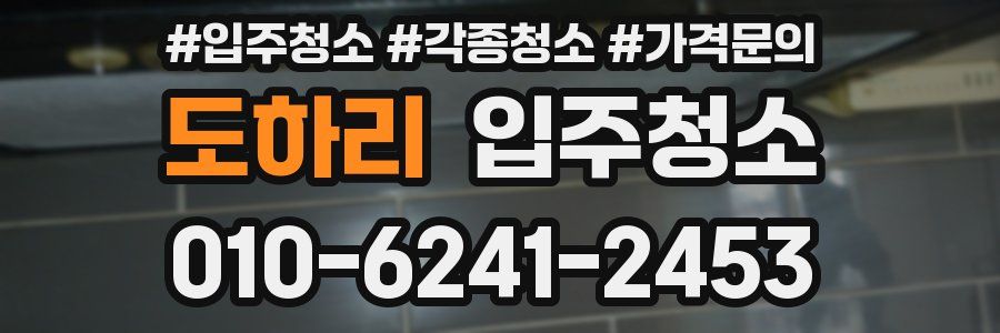 도하리 이사청소