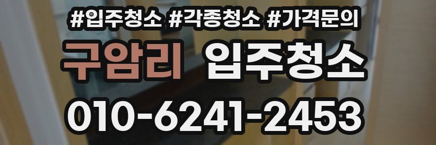 구암리 이사청소