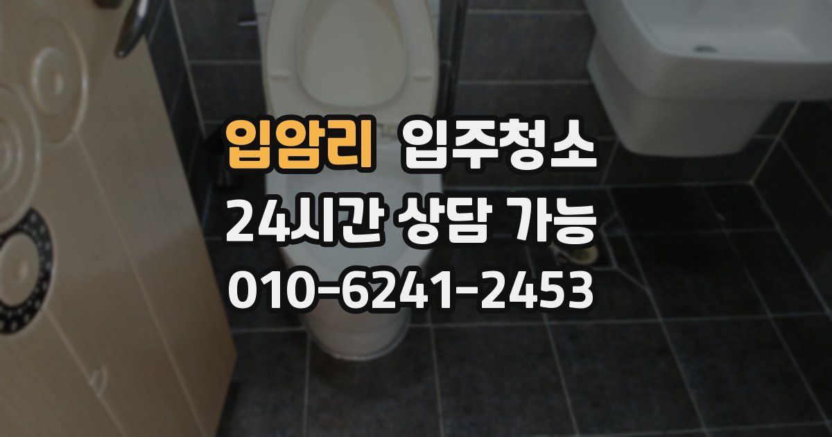 입암리 입주청소