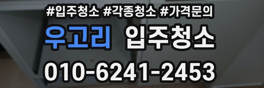 우고리 이사청소