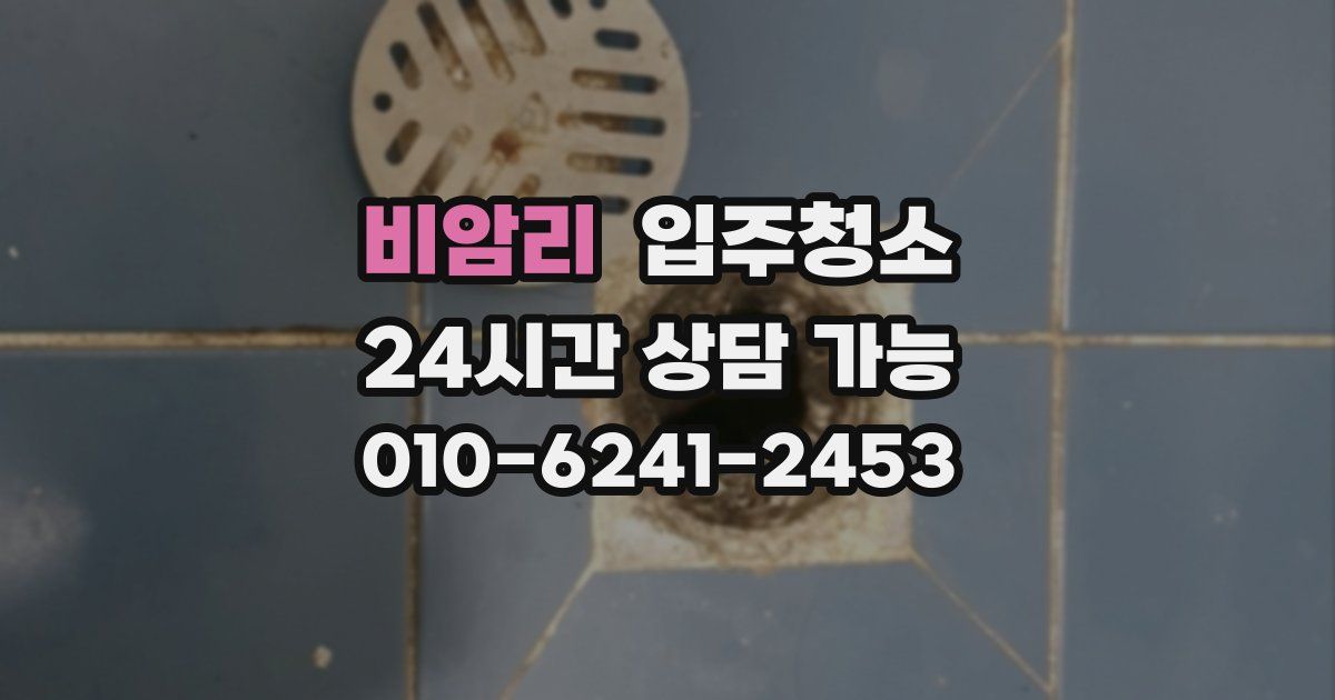 비암리 입주청소