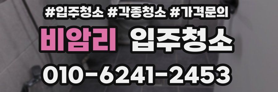 비암리 이사청소