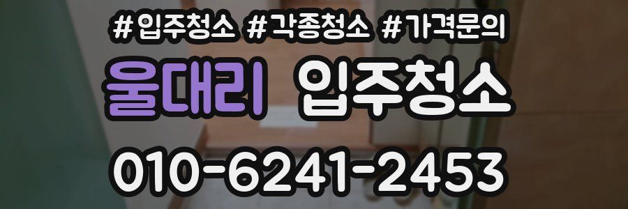 울대리 이사청소