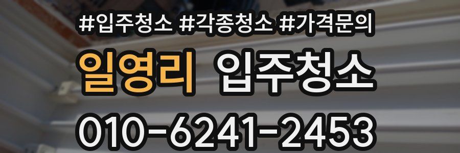 일영리 이사청소