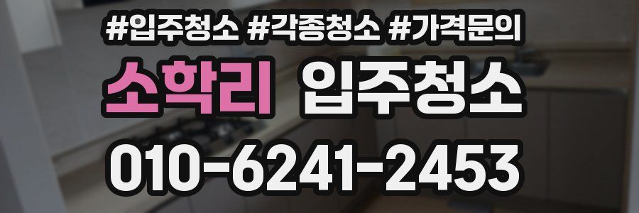 소학리 이사청소