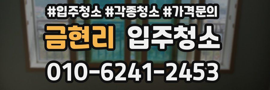 금현리 이사청소