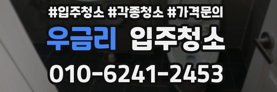 우금리 이사청소