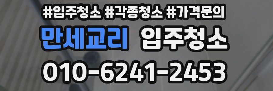 만세교리 이사청소