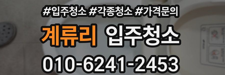 계류리 이사청소