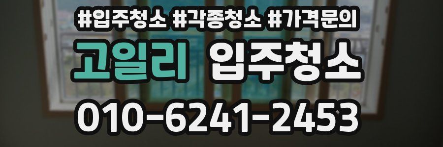 고일리 이사청소