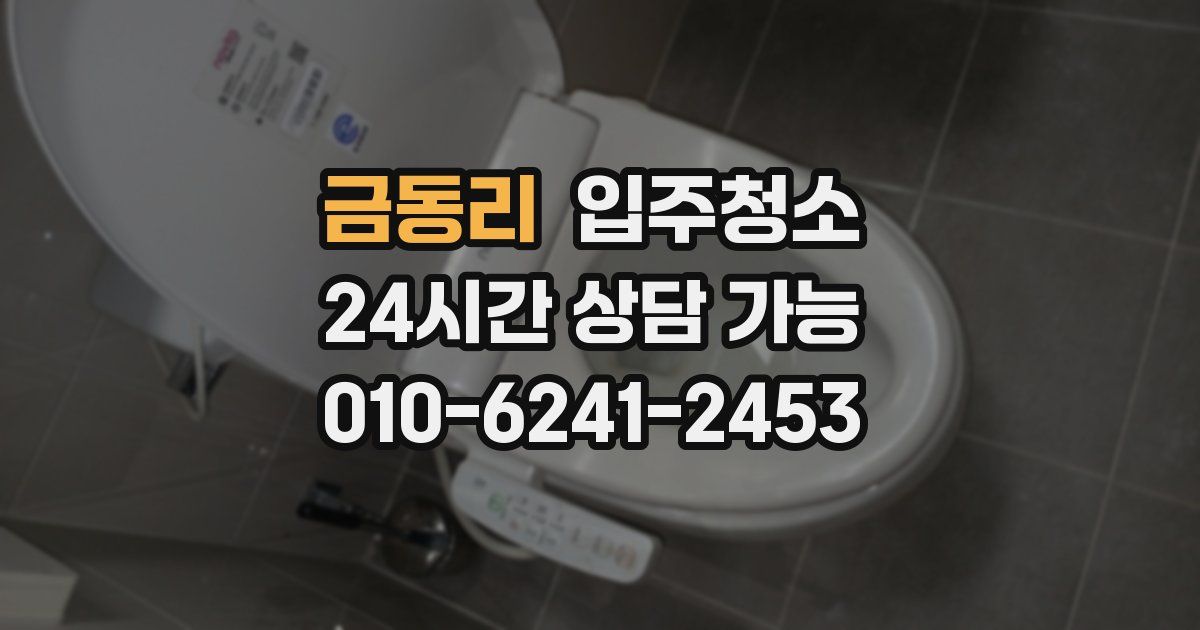 금동리 입주청소