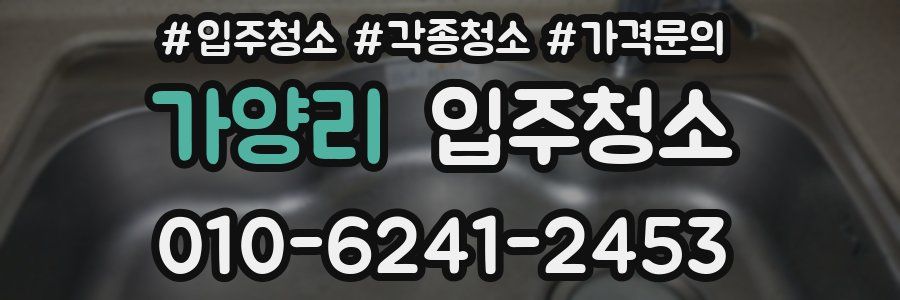 가양리 이사청소