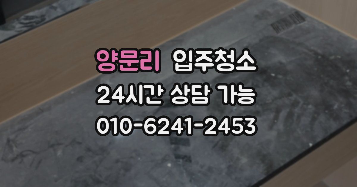 양문리 입주청소