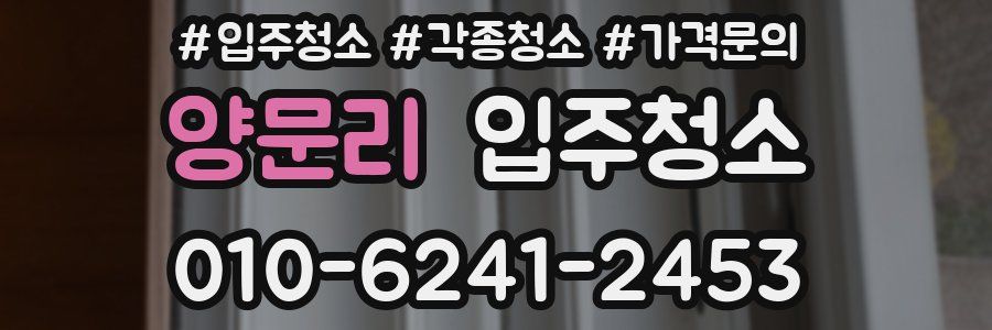 양문리 이사청소