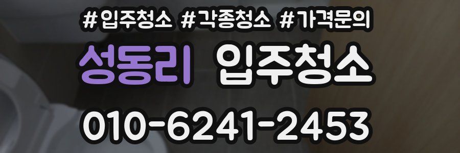 성동리 이사청소