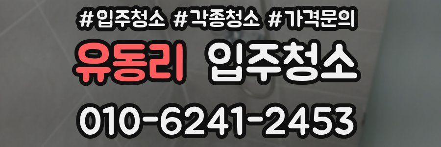 유동리 이사청소