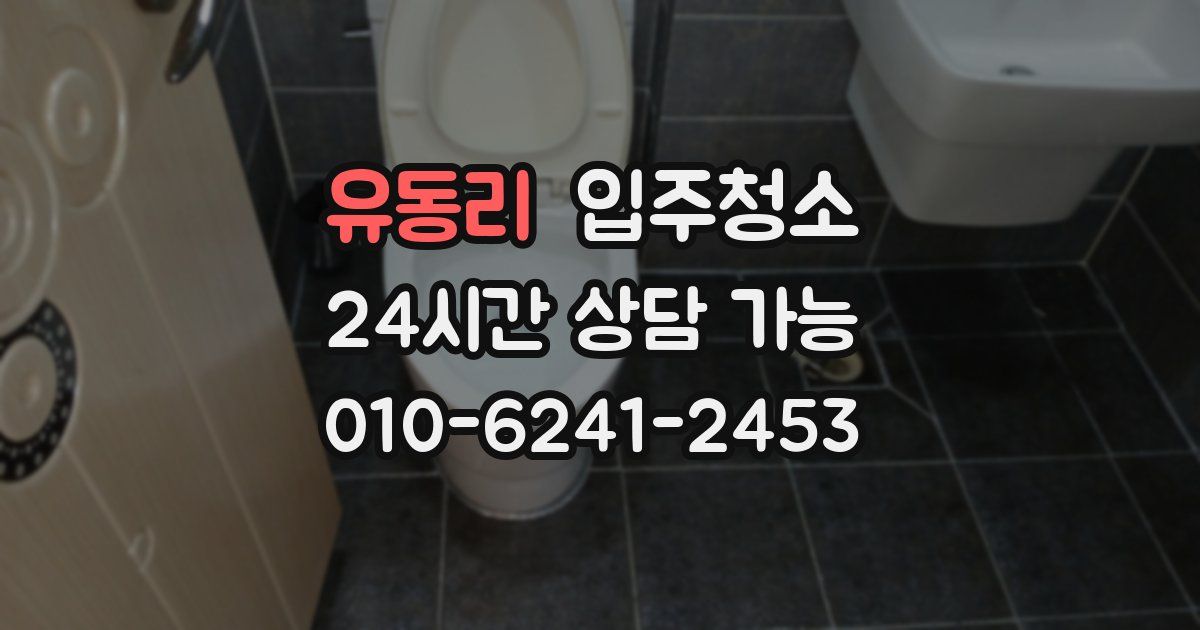 유동리 입주청소