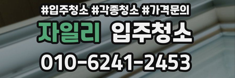 자일리 이사청소