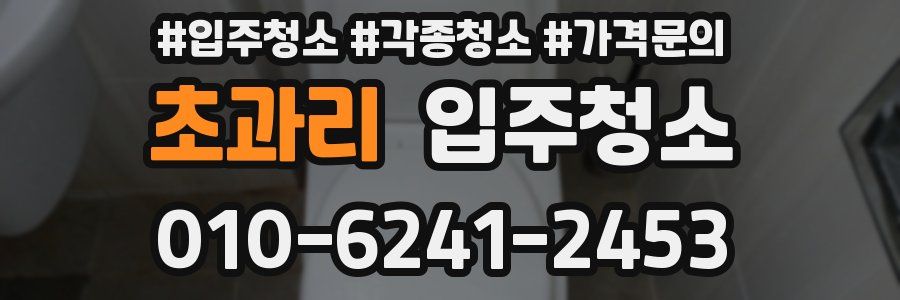 초과리 이사청소