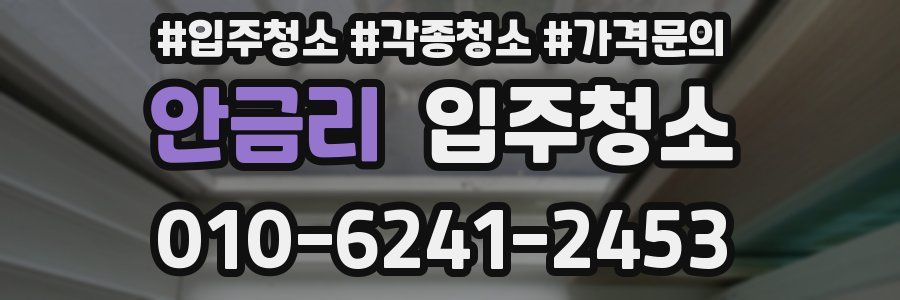 안금리 이사청소