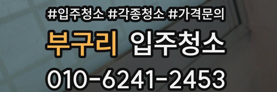 부구리 이사청소