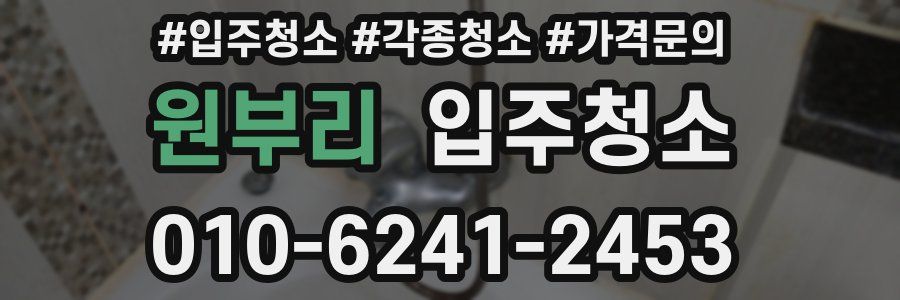 원부리 이사청소