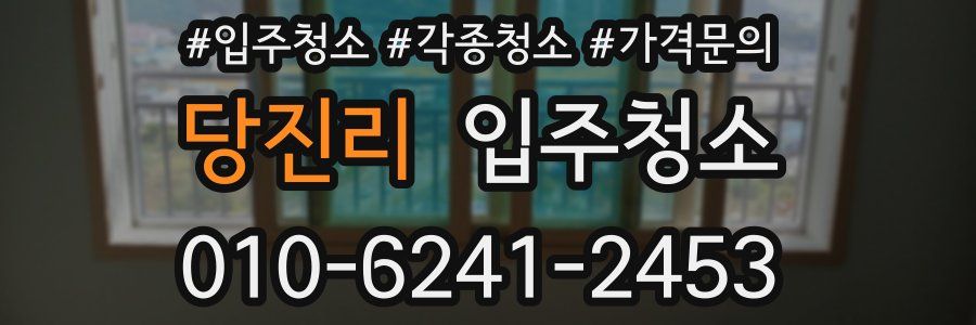 당진리 이사청소