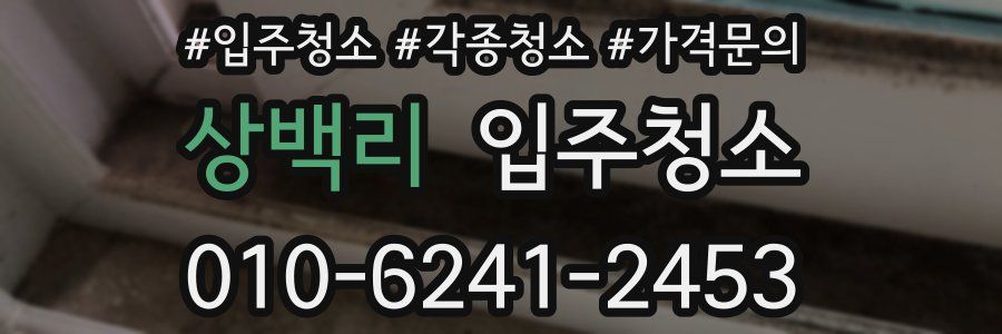 상백리 이사청소