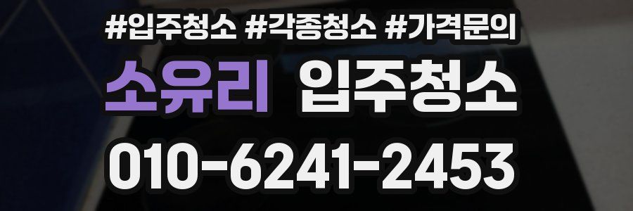 소유리 이사청소