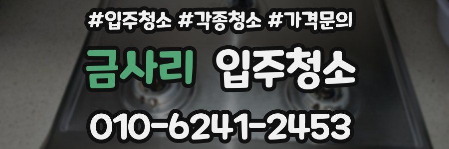 금사리 이사청소
