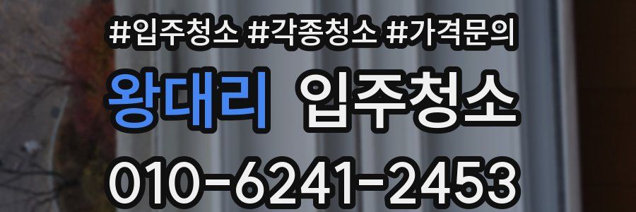 왕대리 이사청소