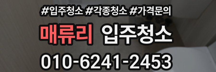 매류리 이사청소