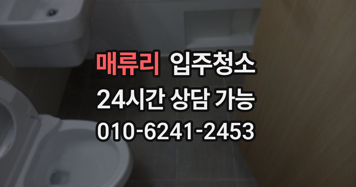 매류리 입주청소