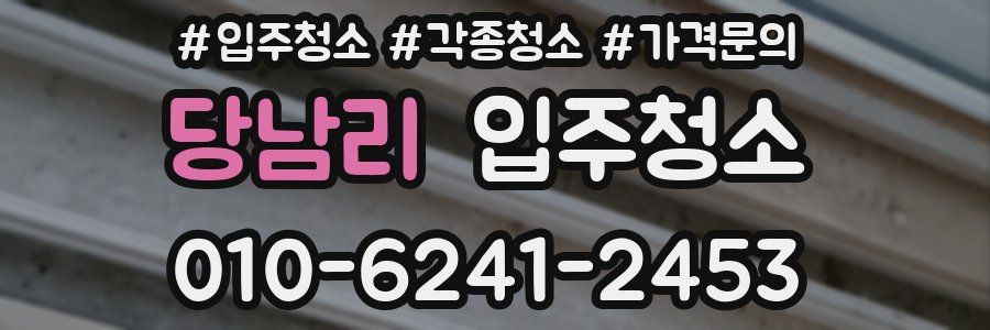 당남리 이사청소