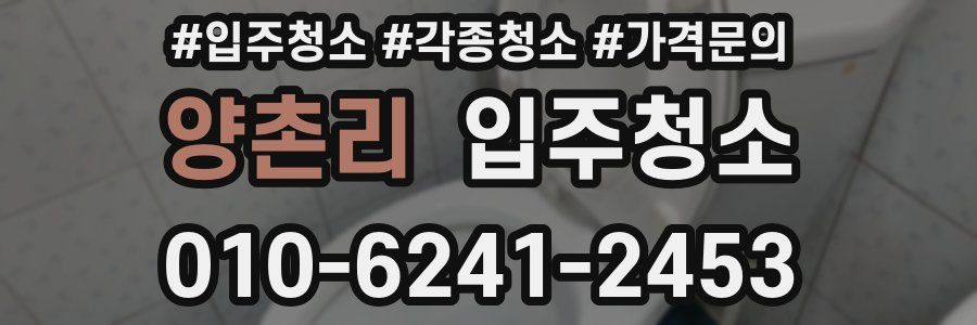 양촌리 이사청소